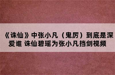 《诛仙》中张小凡（鬼厉）到底是深爱谁 诛仙碧瑶为张小凡挡剑视频